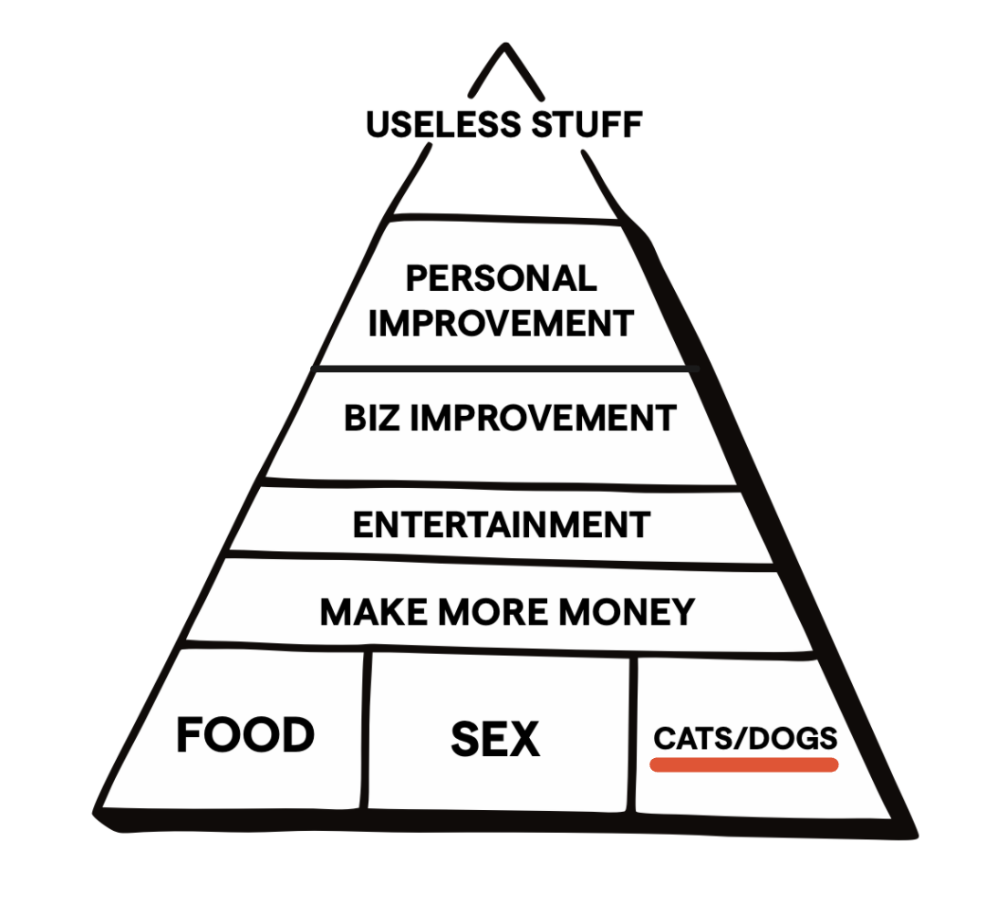 Modified Maslow's hierarchy pyramid showing product categories